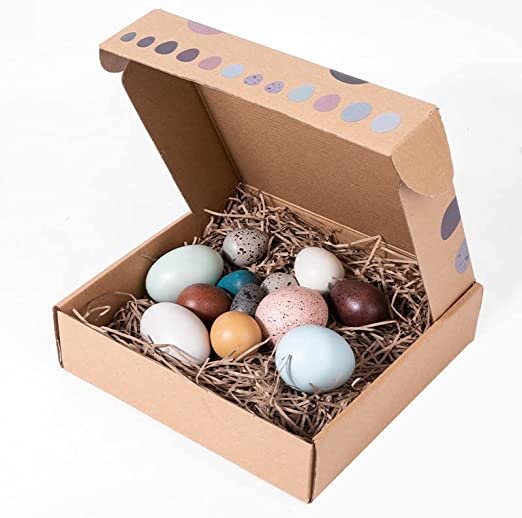 12-Piece Wooden Bird Egg Set | Easter & Pretend Play Toy - Image 4