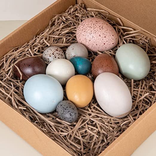 12-Piece Wooden Bird Egg Set | Easter & Pretend Play Toy