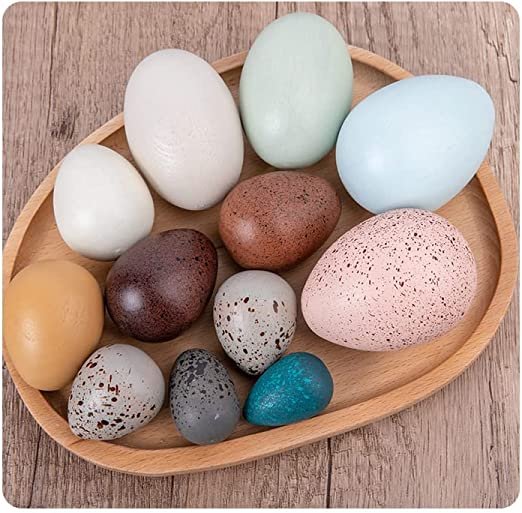 12-Piece Wooden Bird Egg Set | Easter & Pretend Play Toy - Image 2